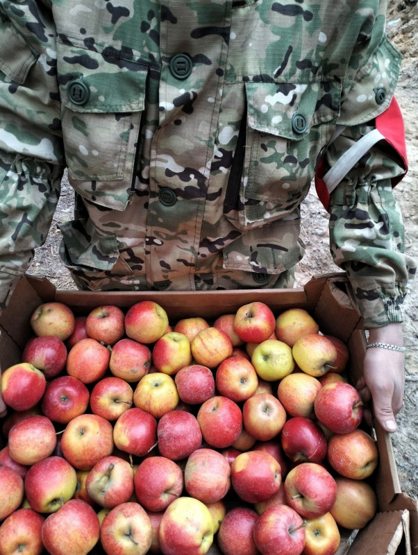 Сотрудники Отделения СФР по Курской области передали военнослужащим пасхальные куличи и 200 килограммов обоянских яблок.