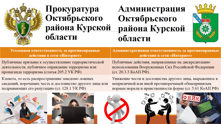 Уголовная и административная ответственность за противоправные действия в сети "Интернет". Уголовная и административная ответственность за противоправные действия в сети "Интернет".